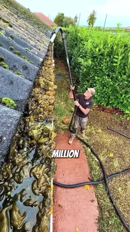 The most expensive trashed house ever. Crazy business idea #housecleaning #renovation #house #Home #businessidea 