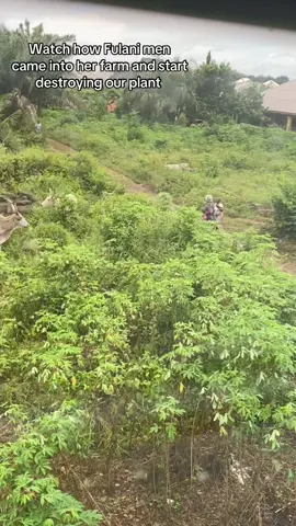 So sad @VDM @VDM Backup page #nigeriantiktok🇳🇬 #nigeriantiktok #vdm #vdm #fyp 