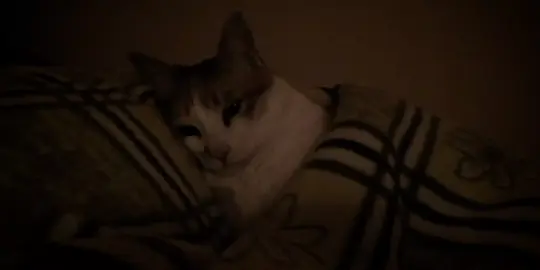 ﴿وَقُل رَّبِّ أَعُوذُ بِكَ مِنْ هَمَزَاتِ الشَّيَاطِينِ﴾ ❤.  ______________ #ريان_المحيسني #وقل_رب_اعوذبك_من_همزات_الشياطين #قران #quran 