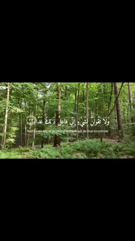 #creatorsearchinsights #قرآن #قران_كريم #مشاهير_تيك_توك #مشاهدات 