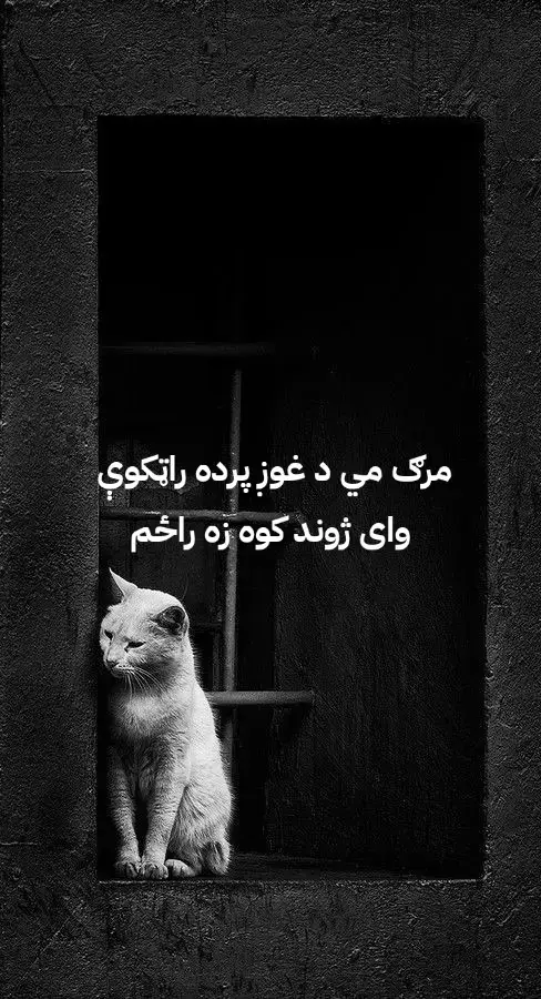 #پشتون_تاجیک_هزاره_ازبک_زنده_باد🇦🇫 