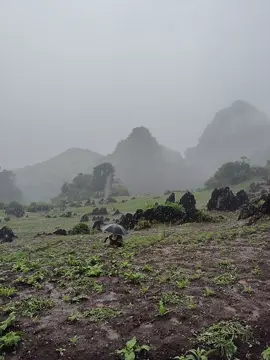 #😆😆 #ခုရိုက်ခုတင်လိုက်ပြီ #fypシ 