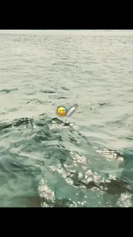 @N_E_S_H_A_N⚰️ #tiktokviral #foryoupa #tiktok #foryou 