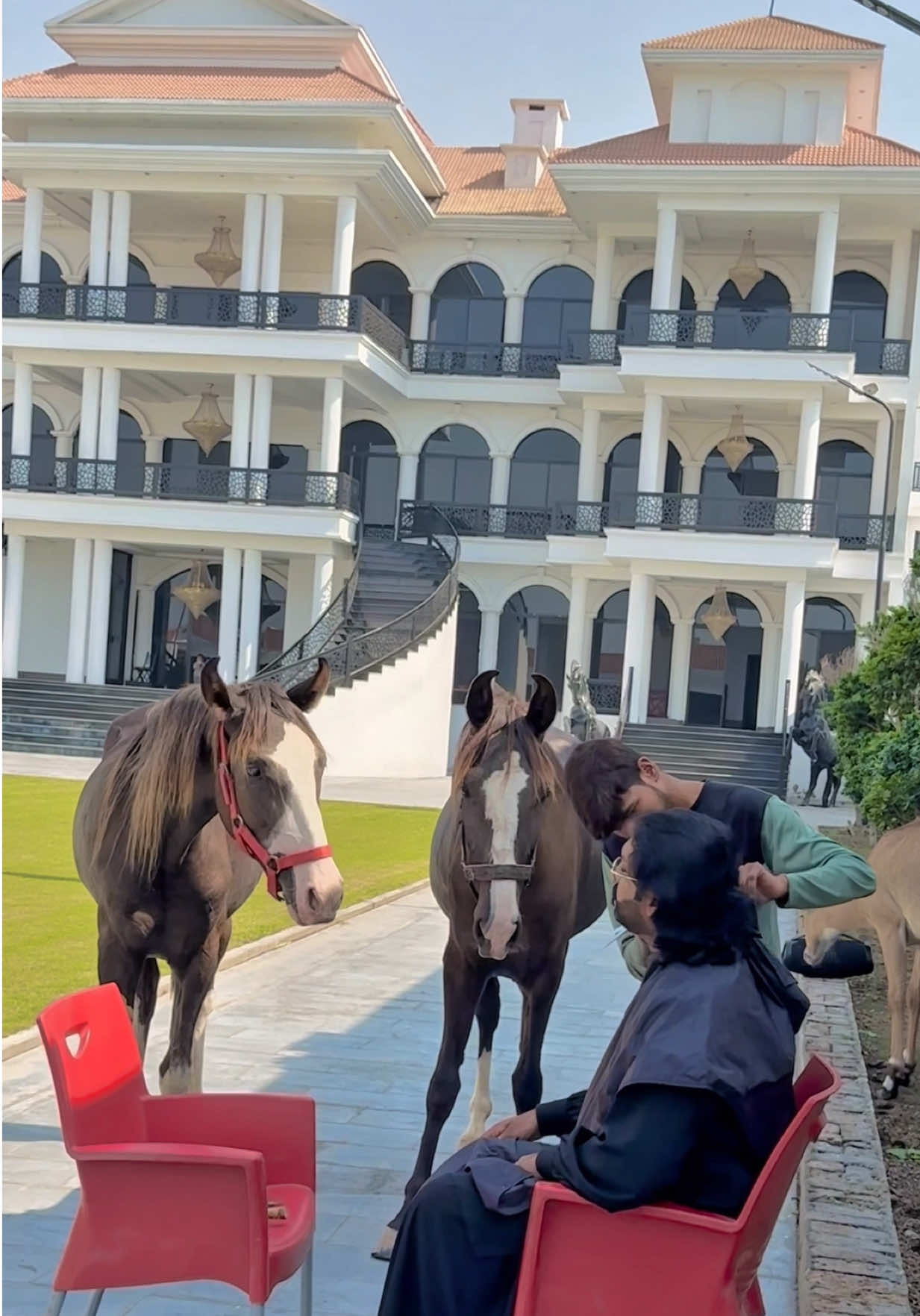 #sultan_of_virkgarh #virkfarm777 #sultanvirk777 #trending #foryou @Sultan Virk 777 