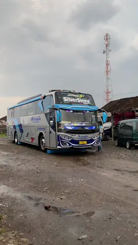 silver stone  #36not #reminderislamic #okdj  #viraltiktok #armada 