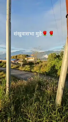 #nature #tiktok #fypage#♥️