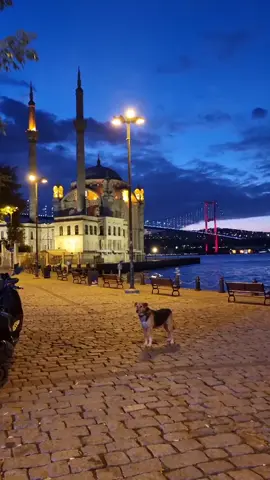 ✌️🇵🇸🍉✌️🇱🇧🌲🕊️🇺🇦 ✈️ Istanbul🇹🇷 🧳  Where life born   #اسطنبول  #istanbul #turkiye #istambul #Стамбул 