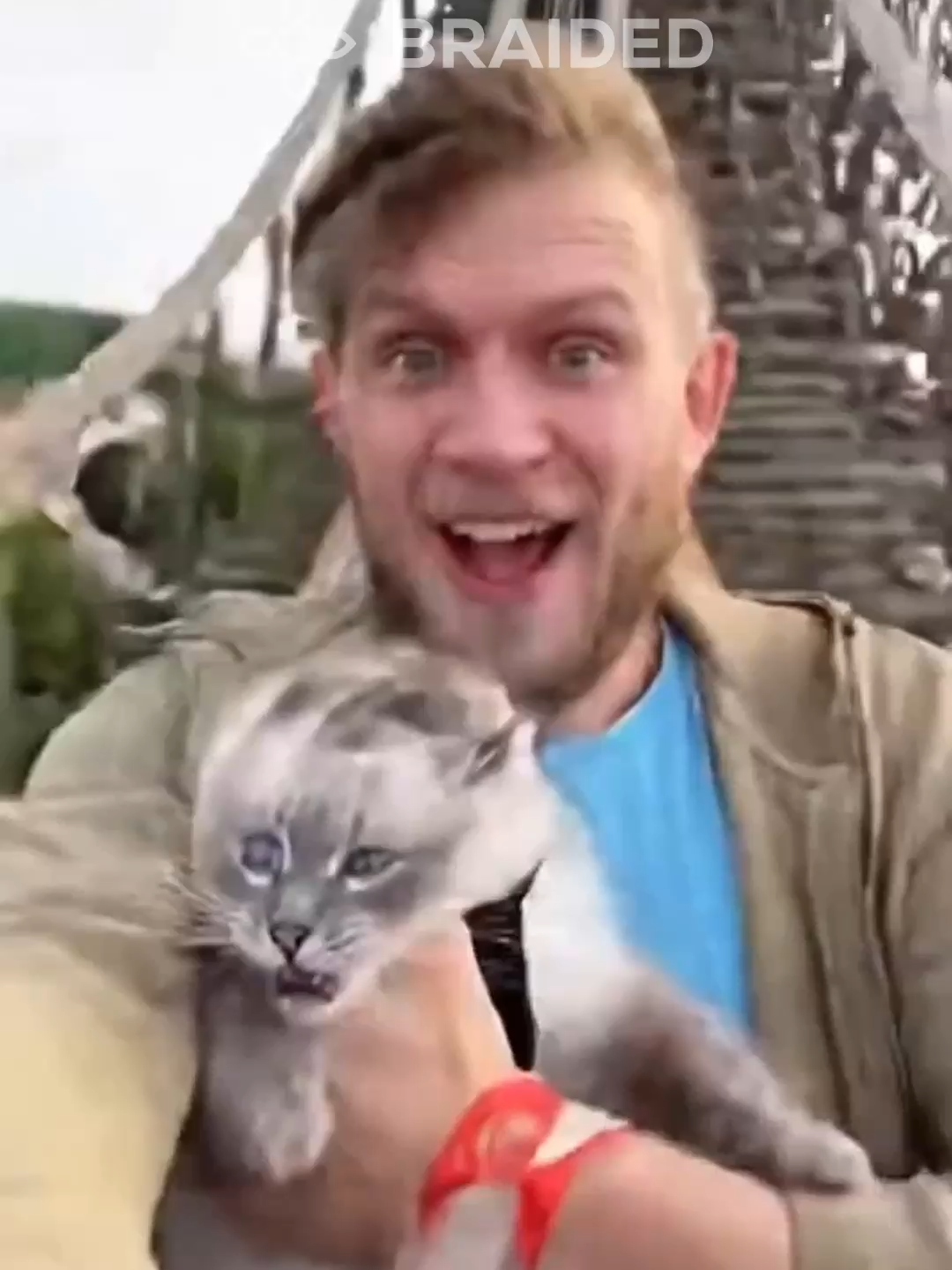 Cat on Roller Coaster! #Cat, #rollercoaster , #fyp, #funnyvideo, #lunapark, #funnycat, #cats, #catlove , #catslovers , #catsvideo , #catvideo, #catoftheday