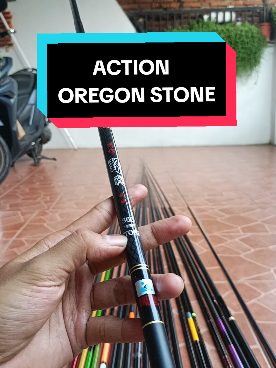 ACTION TEGEK OREGON STONE #tegekoregon #oregonstone #tegekpancing #tegekmurah #alpanfishing 