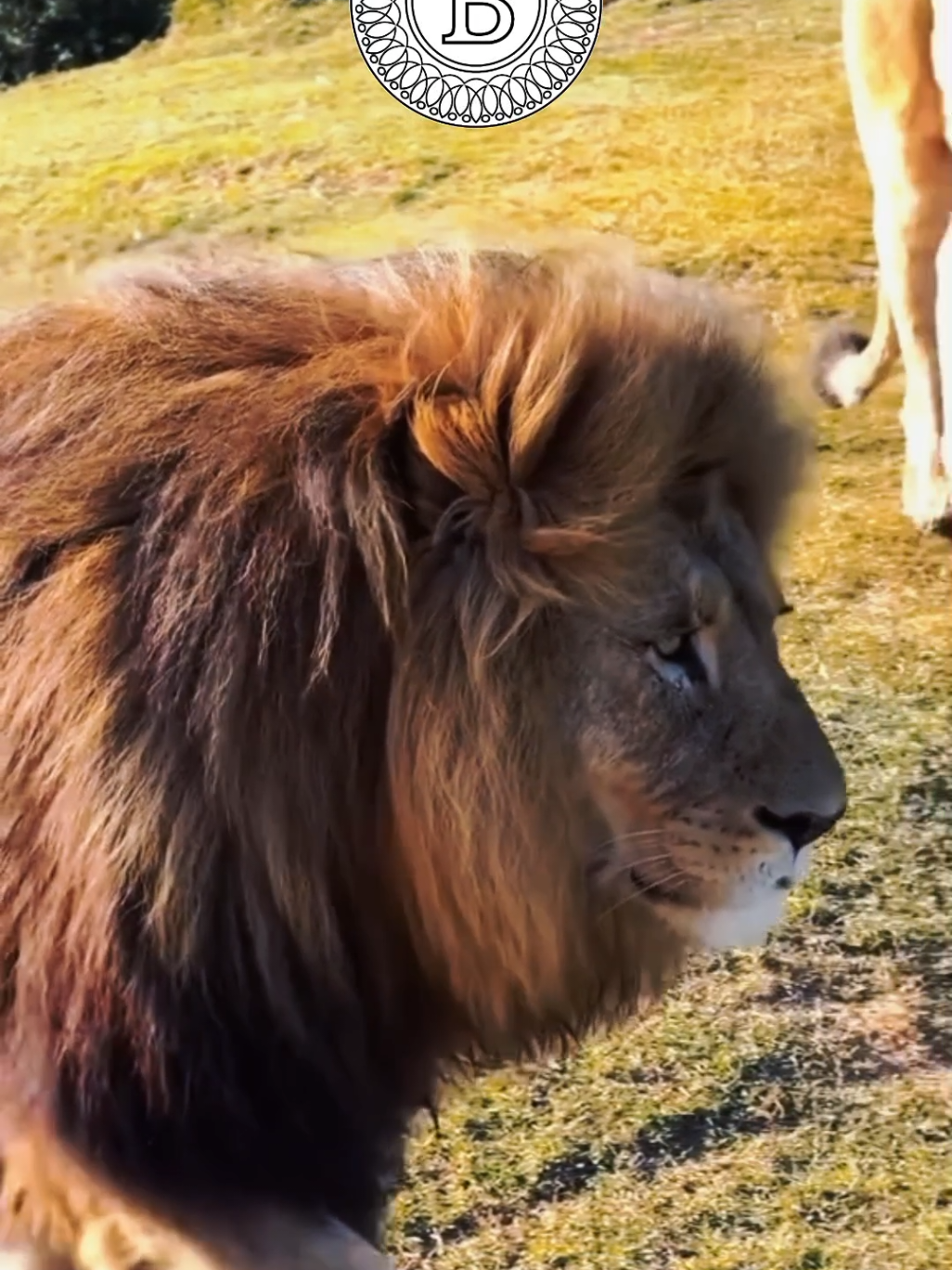 Ma seule mission  #inspiration #motivational #amour 