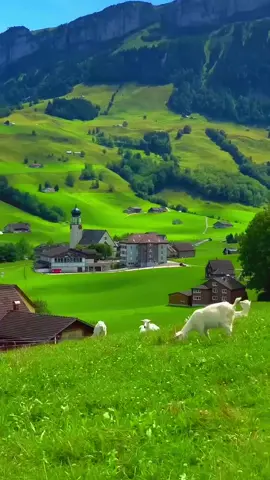 #swizerland🇨🇭 #viral #foryoupage #treding  #fyppppppppppppppppppppppp 