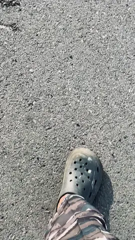 Cakep 🤩 #brawijayaclass#jalesvevajayamahe #military 