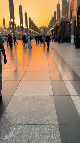 Tempat yang sangat dirindukan oleh setiap umat muslim, Semoga kalian bisa segera merasakan betapa nikmat dan  tenangnya ketika beribadah di Masjid Mabawi  #madinah #haramain #masjidnabawi #video #fyp 