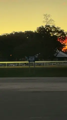 Love traveling to #NYC to haul horses to Belmont racetrack. Such a historic location. #horsetok #travel #farrier #lifeworthliving 