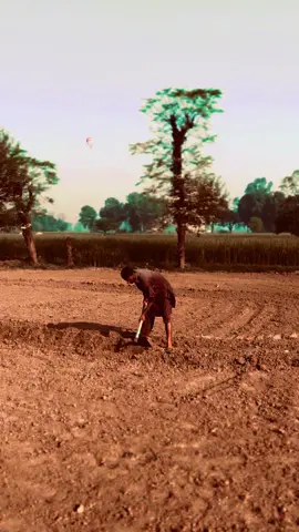 #MerA_sonA_pind_pind_Sabazpeer🌾🌾🌹 #alihassan__39 #foryou 