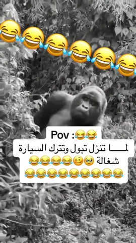 العونان ما له حل #السعودية🇸🇦 #قطر🇶🇦 #الكويت🇰🇼 #الشعب_الصيني_ماله_حل😂😂 #fpyシ 