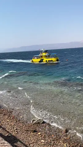 #مجرد________ذووووووق🎶🎵💞 #متابعه #اكسبلور #تصويري #العقبه 