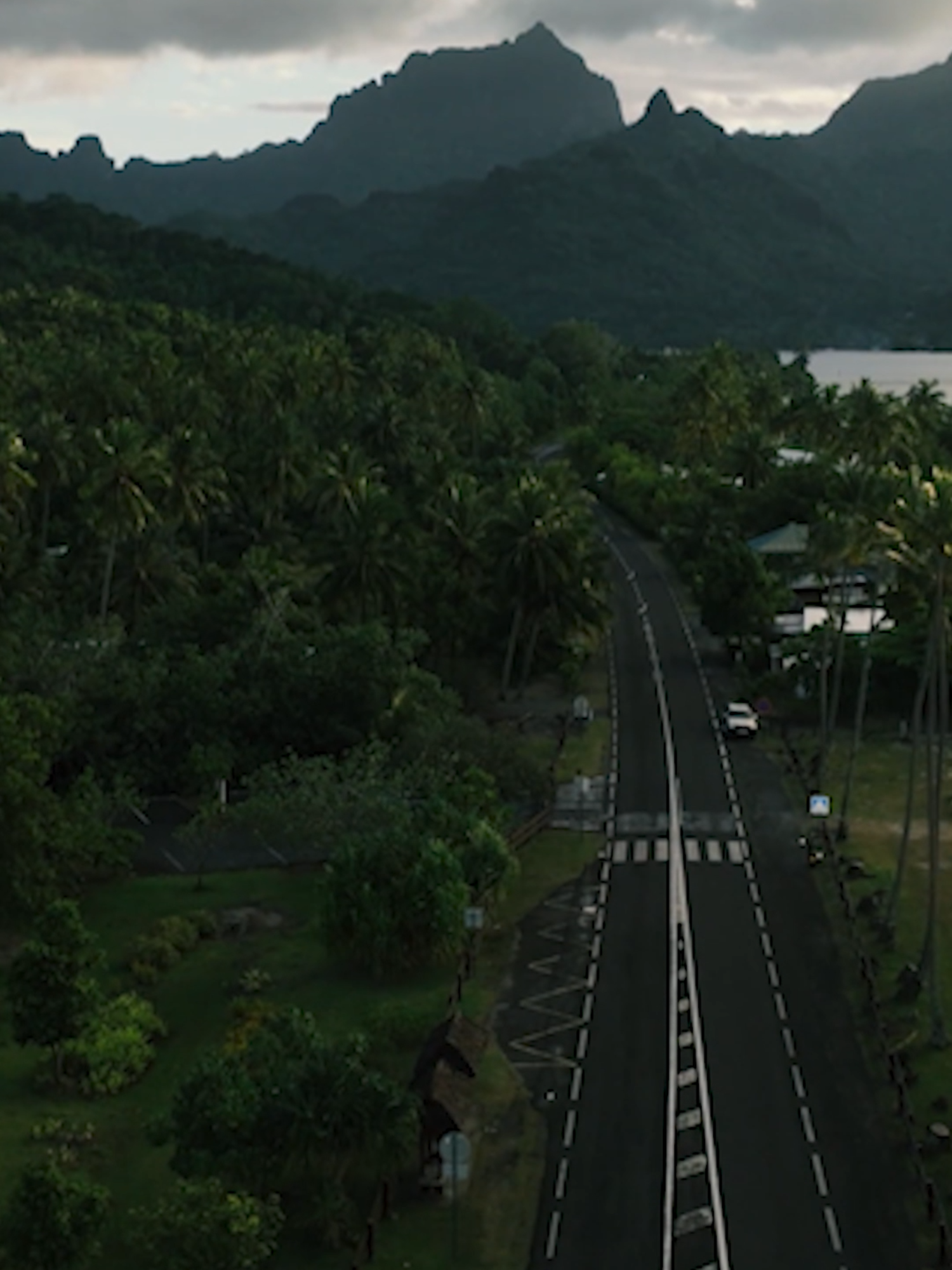 🎶Song: Te Here Mau I Tahiti - New Album 