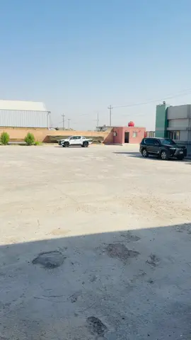 #سماوه_ولايتي 