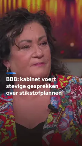 Binnen het kabinet worden 