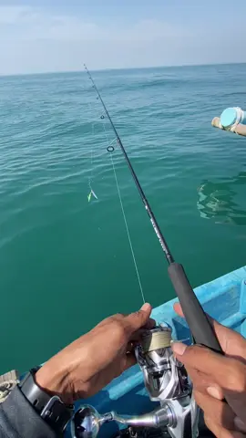 Ikannya belum mau diajak foto, Ternyata mancing tak seindah film horor 😆 set tackel : Rod - tridentech killer reborn pe 0,4-1 Reel - shimano stradic C3000HG Line - jabrik hs 1.5 Leader - 25 lb Lure - jig 15 gr #castjig #mancingjigging #superlightjigging #tridentech #shimanostradic 