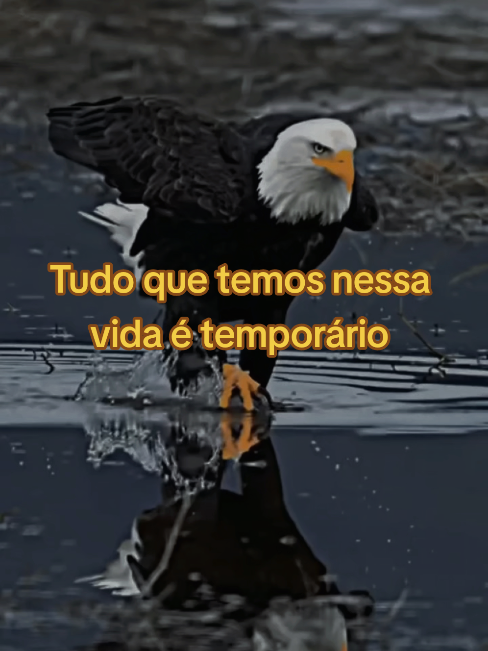 Tudo que temos nessa vida é temporário  #motivation #reflexaododia #reflexion #frasesmotivadoras #bomdia 