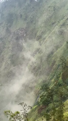 Rinjaninya jawa timur #pendaki #kawinajang2651mdpl #fyp #pendakigunung #4u 