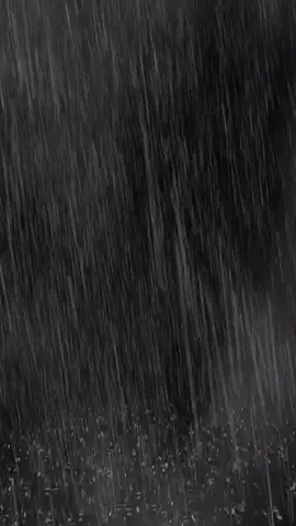 #🤎#لن_انساه_وسأظل_افتقده💔💔🎼 