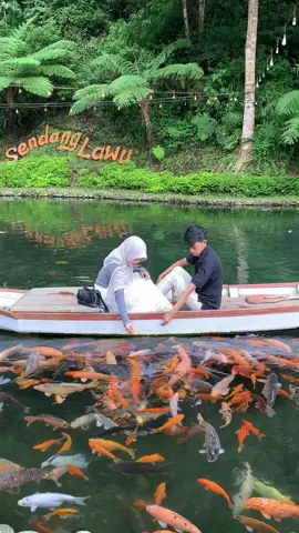 tempatnya cocok bgt buat pelarian masalah☺️ #fyp #karanganyar24jam #xybcza #foryoupage #tawangmangu 