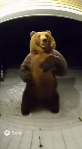🐻 Unbelievable! A Real Bear Caught on Camera at Someone’s Front Door! 😱 You won’t believe what this wild bear does next! A security camera captured the exact moment when a massive brown bear walked right up to a front porch like it owned the place. The doorbell camera recorded everything — every move, every look, every breath. At first it looks funny… but wait until you see the ending! People all over the world are reacting to this insane bear video — some say it’s cute, others say it’s terrifying. What would YOU do if you opened your door and saw this? 🎥 Watch till the end for the most unexpected moment! 👇 Comment below: would you pet it or run for your life? #fyp #funny #ai #viral 