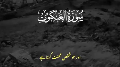 #Allah #alquran #foryou #Quran #tiktok #islamic#islamic_video #fyp #islamic #forypupage