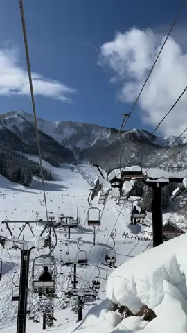 Udah dingin, siapin papanmu ya ww