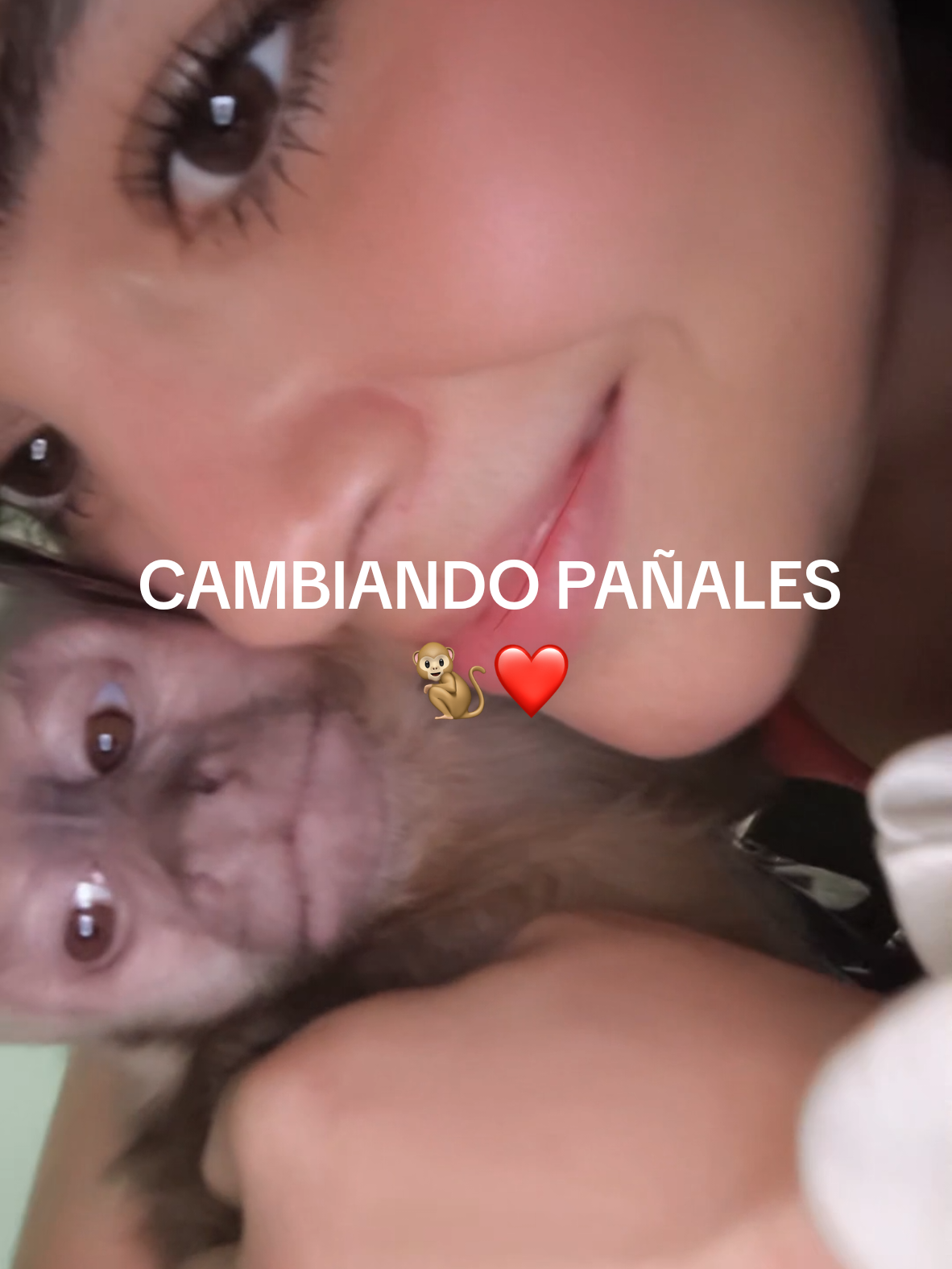 Y así es todos los días😠#monos #viraltiktok #voznarrador #paratiiiiiiiiiiiiiiiiiiiiiiiiiiiiiii #animales 