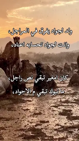 #ابن_العمده✌️ #عالفاهق💔_ليبيا_ #عالفاهق💔_ليبيا_طبرق_مطروح_بنغازي_درنة #