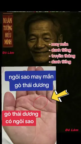 gò thái dương có ngôi sao #xemchitay #xemtay #nhantuonghieuminh #nhantuonghoc 