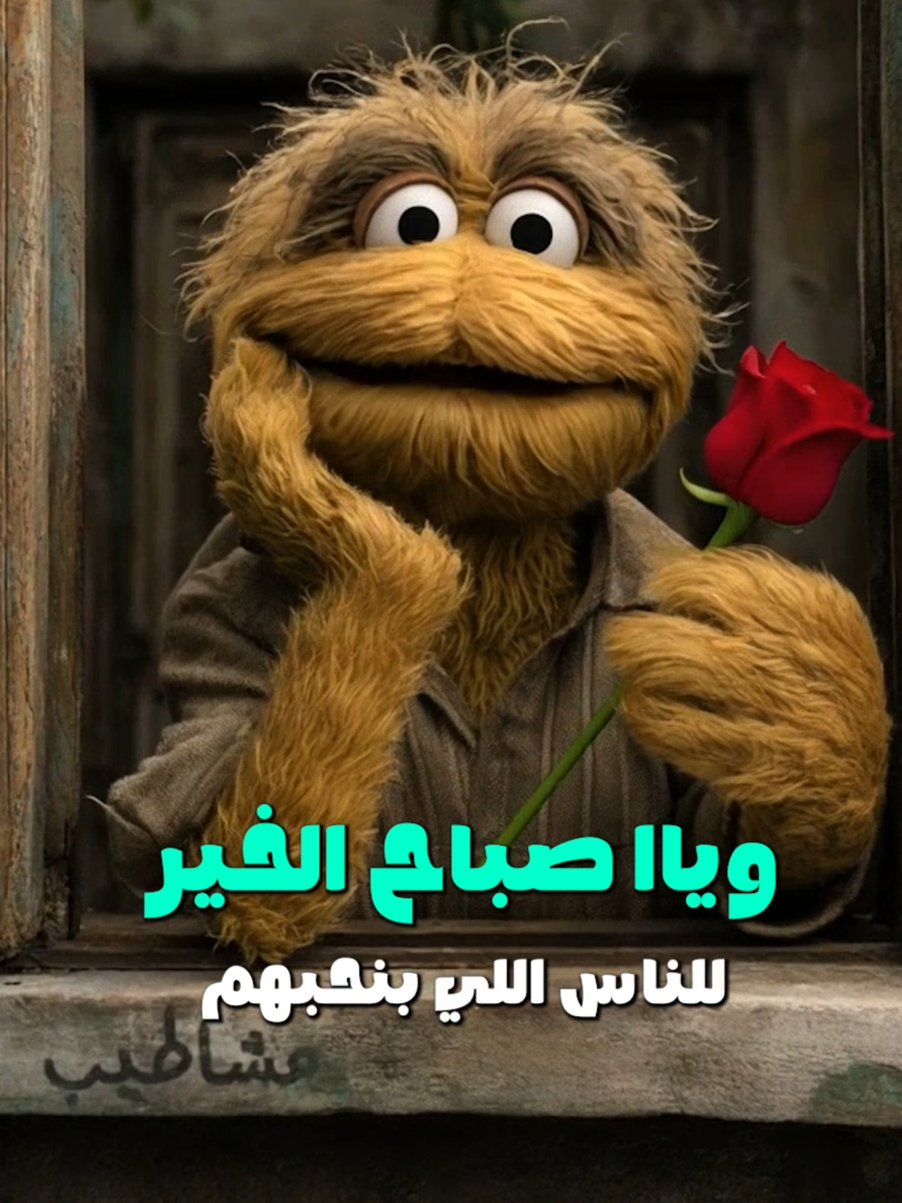 صباحاتوووووو . . . #مشاطيب #ضحك😂 #صباحو #صباح_الخير #صباحوو 