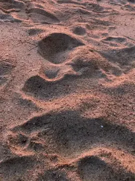 #lagutimur #storytimur#sunset#foryou #