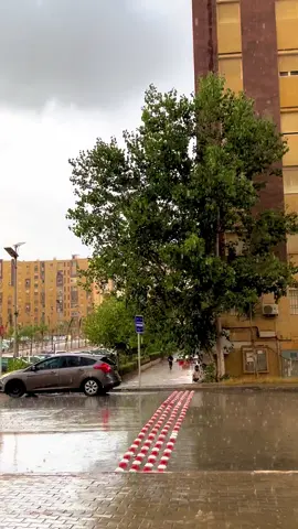 #hicham_tgv #سيدي_عبدالله_العاصمة🇩🇿🇩🇿🇩🇿 #شتاء #🌧️🌧️⛈️⛈️☔☔🌧️🌧️⛈️⛈️☔☔ #الجزائر🇩🇿 @hicham tgv @المدينة الجديدة سيدي عبدالله @المدينة الجديدة سيدي عبد الله @Sidi Abdellah هنا سيدي عبدالله 