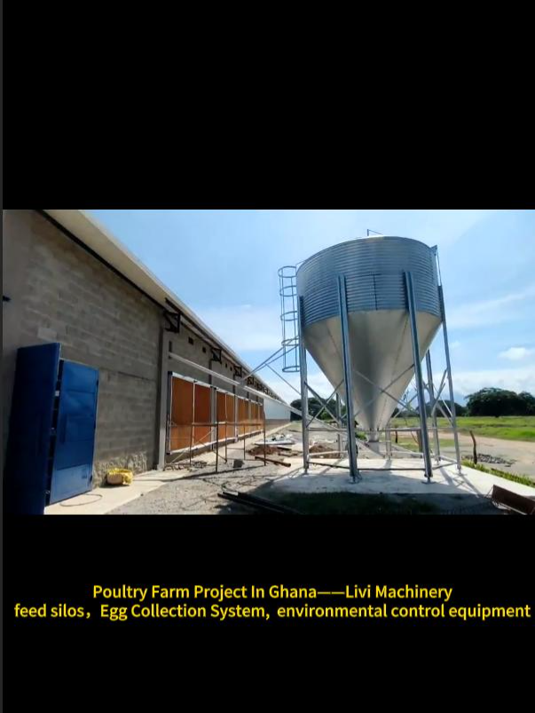 #poultryfarming #layerfarming  #ghana  Poultry Farm Project In Ghana——Livi Machinery feed silos，Egg Collection System,  environmental control equipment ⚙️ What LIVI Can Do for You ✅ Complete poultry farm design & layout planning ✅ Automatic cage systems for layers, broilers, and pullets ✅ Smart feeding, drinking, manure removal & egg collection systems ✅ Ventilation, cooling, lighting, and environment control solutions ✅ On-site installation guidance and after-sales support 🐣 Our Main Products Layer Chicken Cages – H-type & A-type automatic systems Broiler Chicken Cages – high-density, clean, efficient Pullet Rearing Cages – for healthy growth and transition Automatic Feeding & Egg Collection Systems Manure Removal & Ventilation Equipment 🌱 Why Choose LIVI ✔ 30+ years of experience in poultry equipment manufacturing ✔ Projects in 80+ countries across Africa, Asia, and the Middle East ✔ One-stop turnkey solutions for both small and large-scale farms ✔ Professional design, fast delivery, reliable service 📞 Contact Us 📧 Email: ds01@zzlivi.com   🌐 Website: https://www.livicages.com 📱 WhatsApp: +86 17344898347   👉 Subscribe for more real poultry farm projects and smart farming solutions! 🔔 Turn on notifications to stay updated with LIVI’s latest success stories. #automaticchickencage  #smartfarming  #Agribusiness #FarmInnovation #LIVICages #AfricanAgriculture #EggProduction #poultryfarming