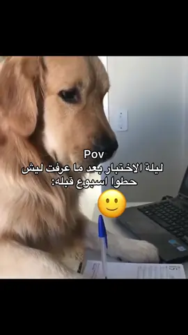 زنقة الكلاب🙂💔#رياكشن #الشعب_الصيني_ماله_حل😂😂 #تصميم_فيديوهات🎶🎤🎬 #ضحك #ميمز 
