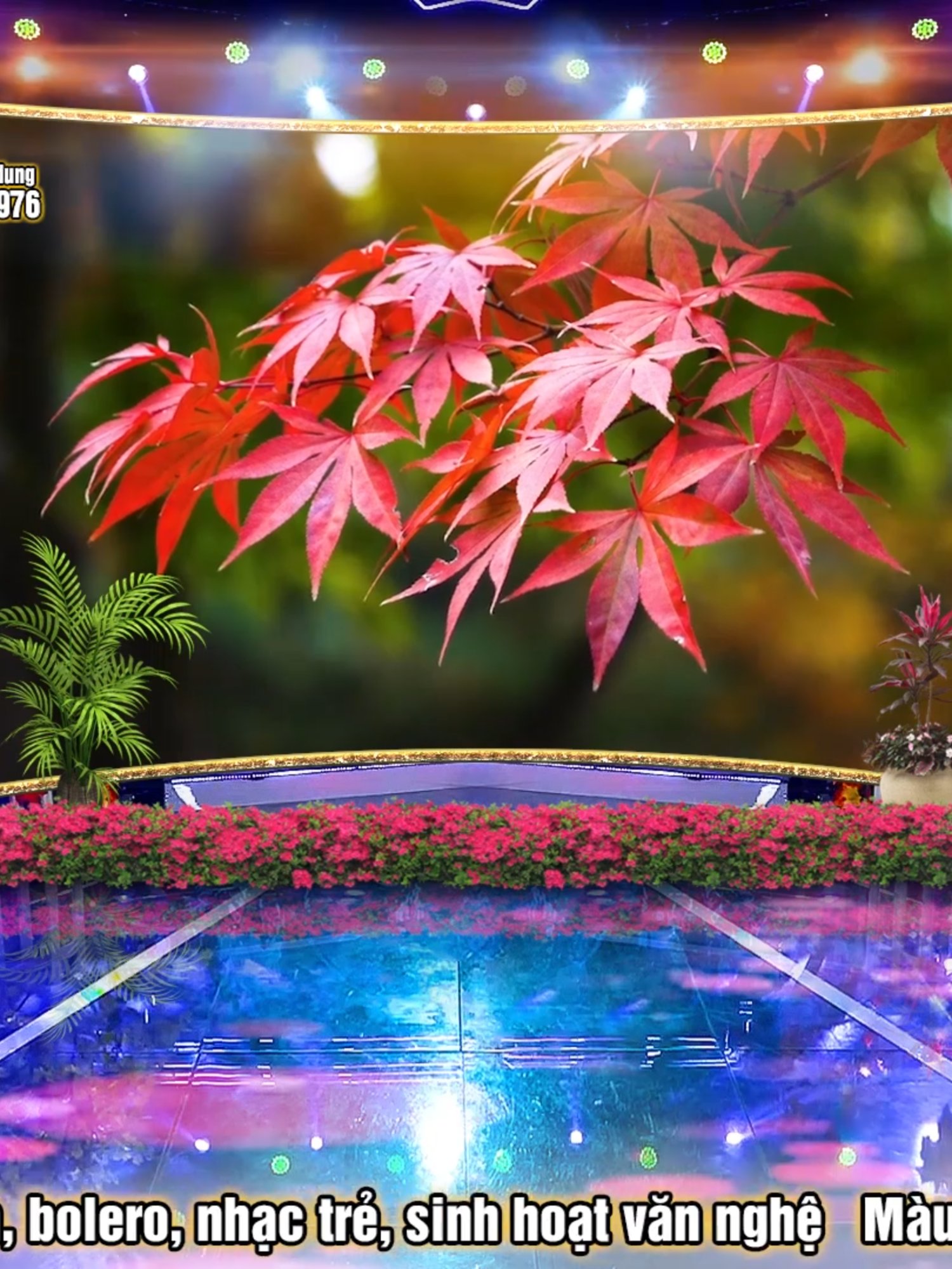 🎵 Phông Nền Sân Khấu Livestream Mùa Thu Tuyệt Đẹp | Mẫu AD423 | EDM - Thu Về Trong Mắt Em #sankhaulivestream Phông nền sân khấu livestream mùa thu tuyệt đẹp – Mẫu AD423. Hiệu ứng ánh sáng sống động, hòa quyện giai điệu EDM “Thu Về Trong Mắt Em”, tạo không gian hát chuyên nghiệp và cuốn hút. ✨ Mô tả video: Phông nền sân khấu livestream mùa thu tuyệt đẹp – Mẫu AD423 mang đến không gian ấm áp, lãng mạn và chuyên nghiệp cho các buổi biểu diễn, livestream ca nhạc hay thu âm tại nhà. Hiệu ứng ánh sáng chuyển động mềm mại kết hợp giai điệu EDM – “Thu Về Trong Mắt Em” giúp khán giả như đắm chìm trong không khí mùa thu đầy cảm xúc.  👉 Phù hợp cho ca sĩ, CLB âm nhạc, hoặc những ai yêu thích hát livestream chuyên nghiệp. #sankhaulivestream #phongnensanKhau #phongnenmuathu