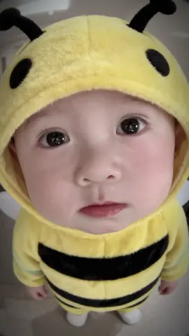 🐝 #embedangyeu #viral 