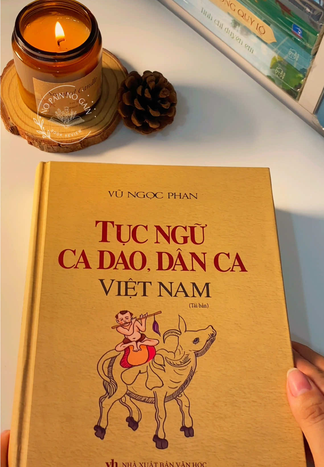 Tục ngữ ca dao dân ca Việt Nam🥰🥰 #nopainnogainbook #tucngucadaodancavietnam #reviewsach #BookTok 