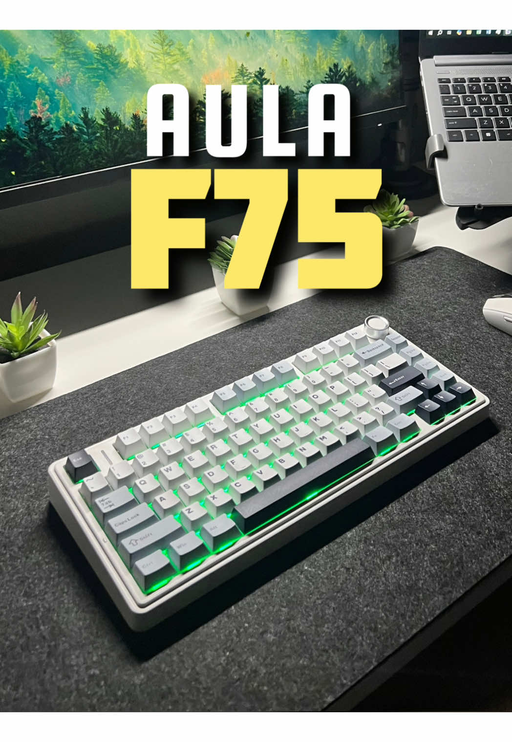 This is the AULA F75 Mechanical Keyboard.  A sleek 75% layout that’s built for both aesthetics and performance. Features: - 75% Layout - 4000mAh Battery - Premium PBT Keycaps - Hot-Swappable Switches - Vibrant RGB LEDs - Multi-Function Knob - Tri-Mode Connectivity (2.4GHz / Bluetooth / Type-C) - Dual Adjustable Foot Stands - Thocky, Creamy Sound - Gasket Mount Structure  - Sound-Dampening Foam This is a 100% must buy and definitely one of the best budget keyboards you can find right now. #aulaf75 #keyboard #mechanicalkeyboard #desksetup #techtok