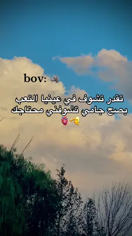 #الشعب_الصيني_ماله_حل😂✌️ #تصميم_فيديوهات🎶🎤🎬 #تحيا_الجزائر #تحياتي_لجميع_المشاهدين_والمتابعين #وووحتى لاتم🫡💙