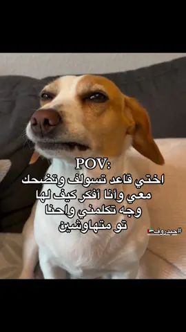#حيدروف🇦🇪 