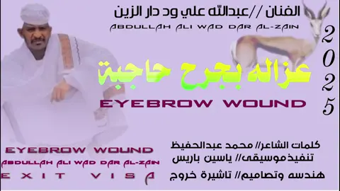 الفنان عبدالله علي ود دار الزين  غزالة بجرح حاجبة 