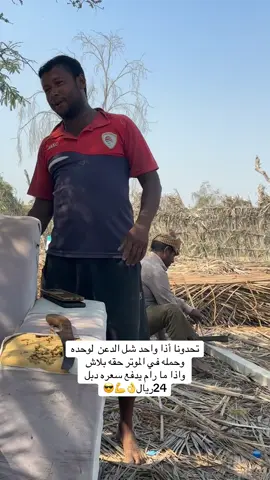 #هاشتاق #العرب 