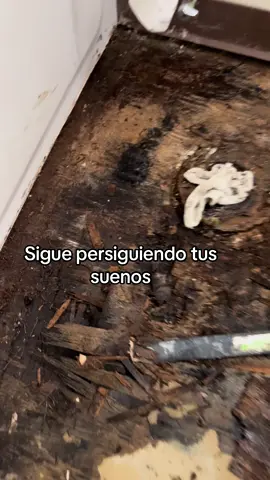 Persiguiendo tus suenos#parati #fyp 