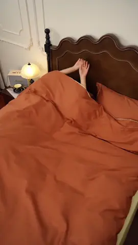 Bộ chăn ga gối cotton tici mềm mát sang trọng #tongkho113 #changagoi #changagoidem_nhapkhau #changagoicotton #bochangagoicotton 